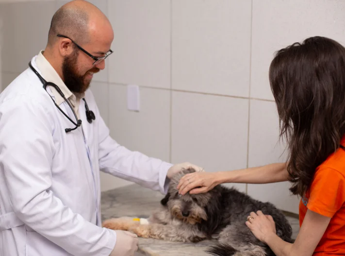Clínica Veterinária OiVet